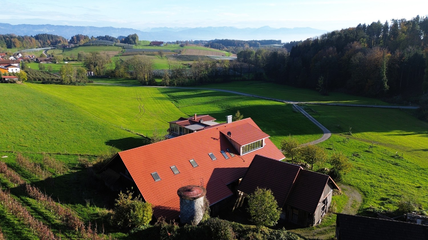 Draufsicht