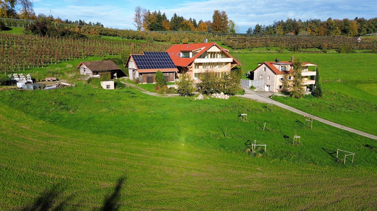 Blick aus der Ferne
