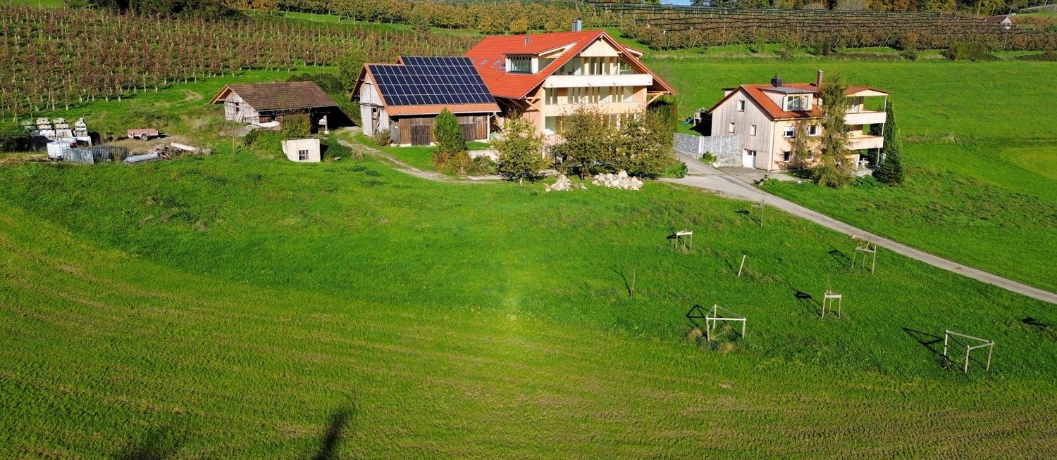 Blick aus der Ferne