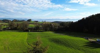 von_poll_real_estate_property_24258009_image_28