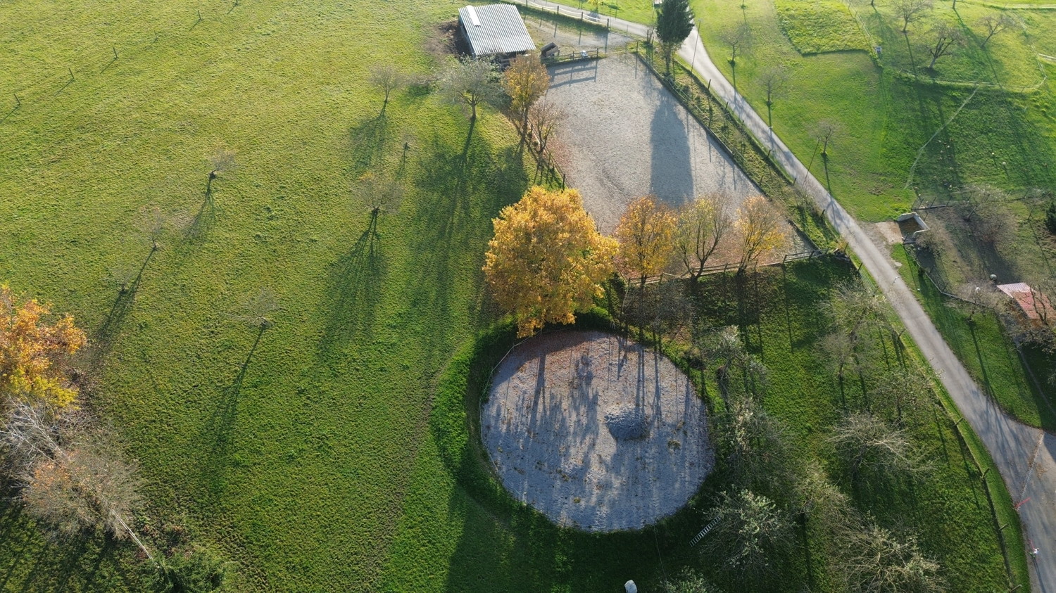 Übersicht Reitplatz und Round-Ped