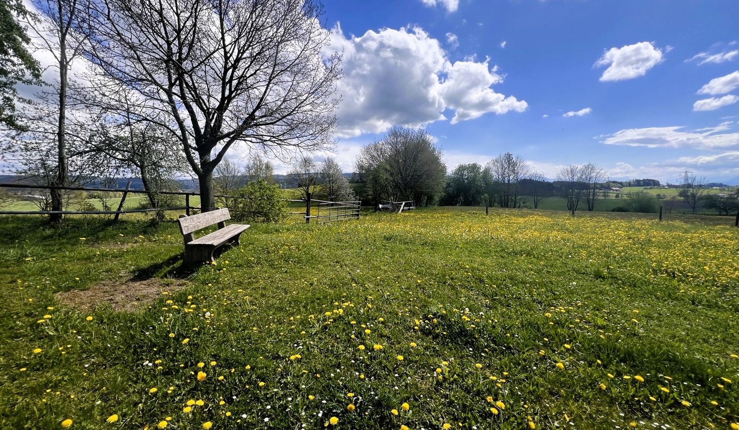 unbegrenzter Weitblick