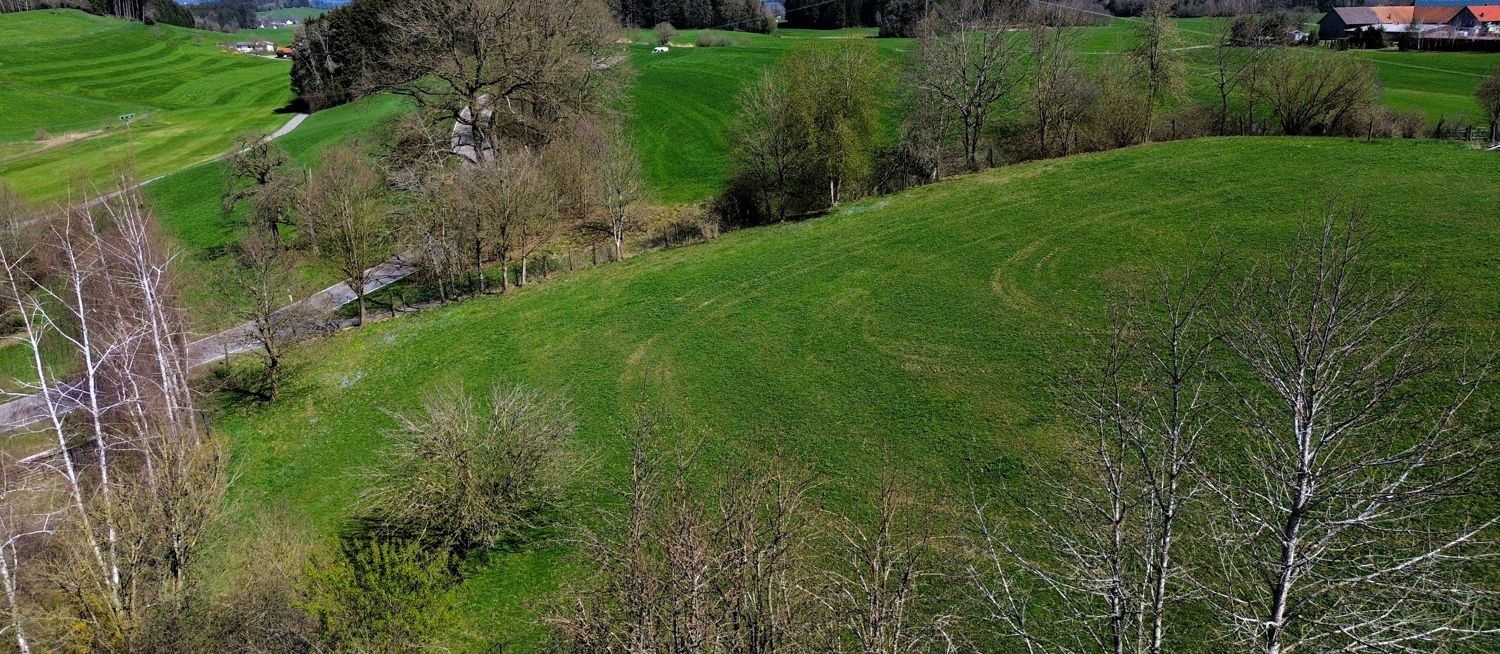 Fernblick