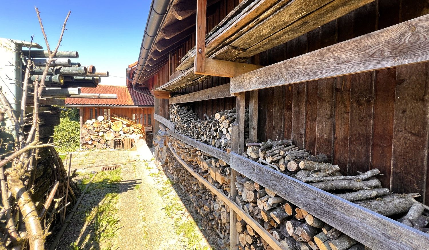 Rückseite