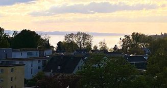 von_poll_real_estate_property_25258016_image_14