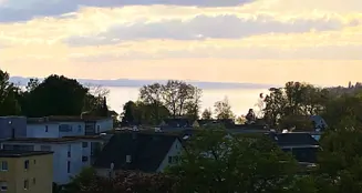 von_poll_real_estate_property_25258016_image_16