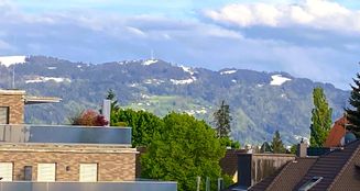 von_poll_real_estate_property_25258016_image_15
