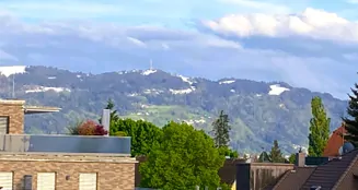 von_poll_real_estate_property_25258016_image_17