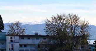 von_poll_real_estate_property_25258016_image_17