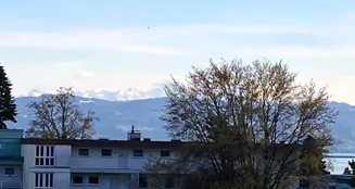 von_poll_real_estate_property_25258016_image_19