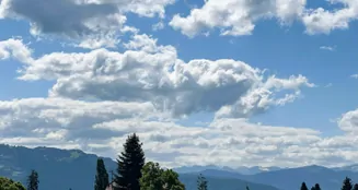 von_poll_real_estate_property_25258016_image_3