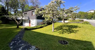 von_poll_real_estate_property_25258011_image_2