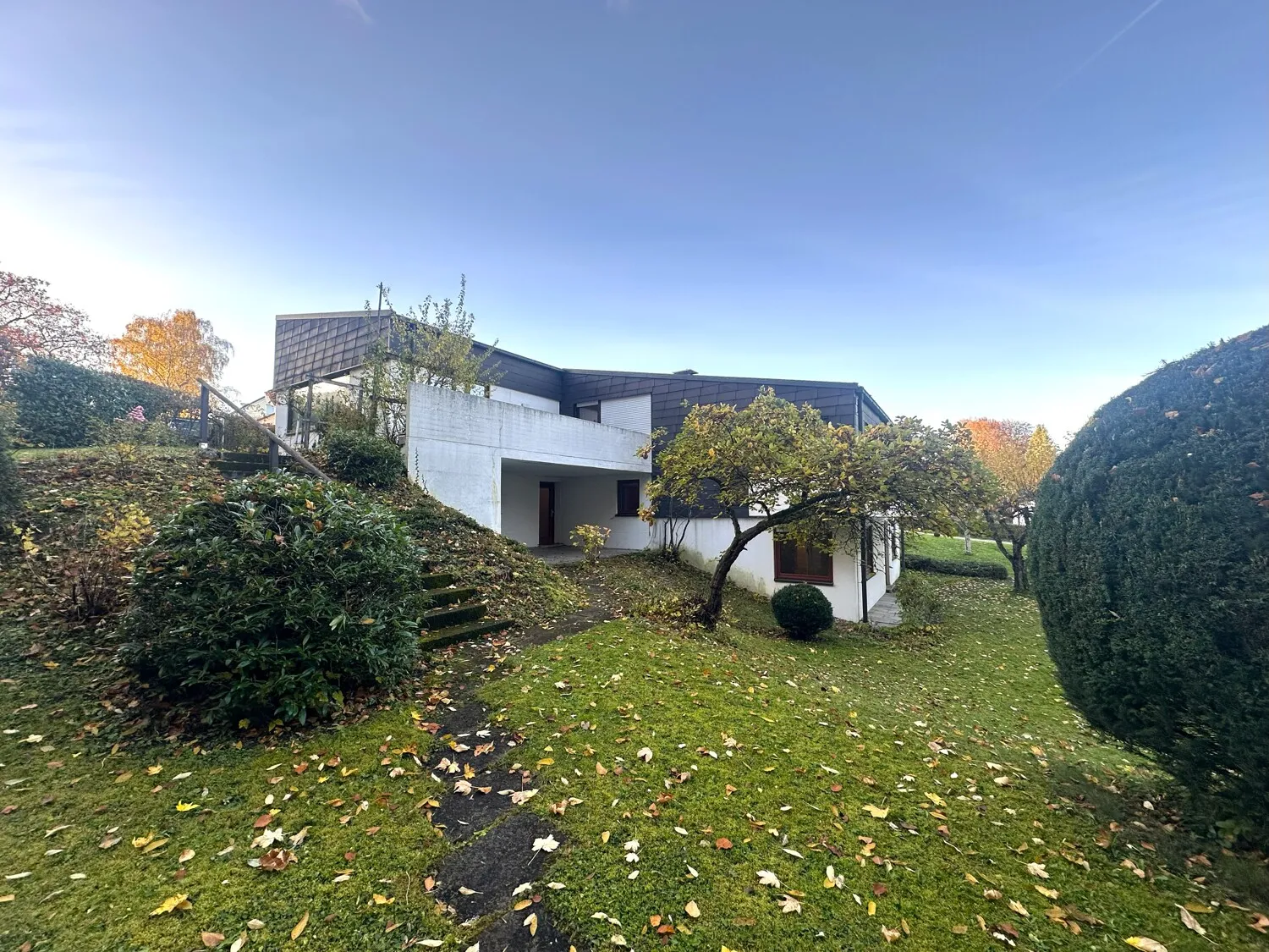 Ansicht seitlich Garten