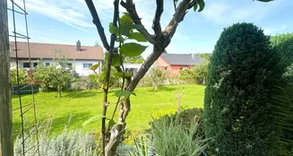 von_poll_real_estate_property_25258024_image_30