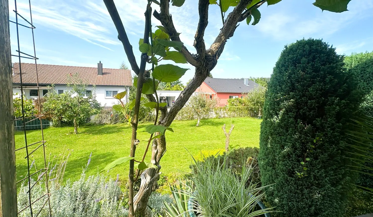 Impressionen Gartenbereich