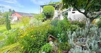 von_poll_real_estate_property_25258024_image_31