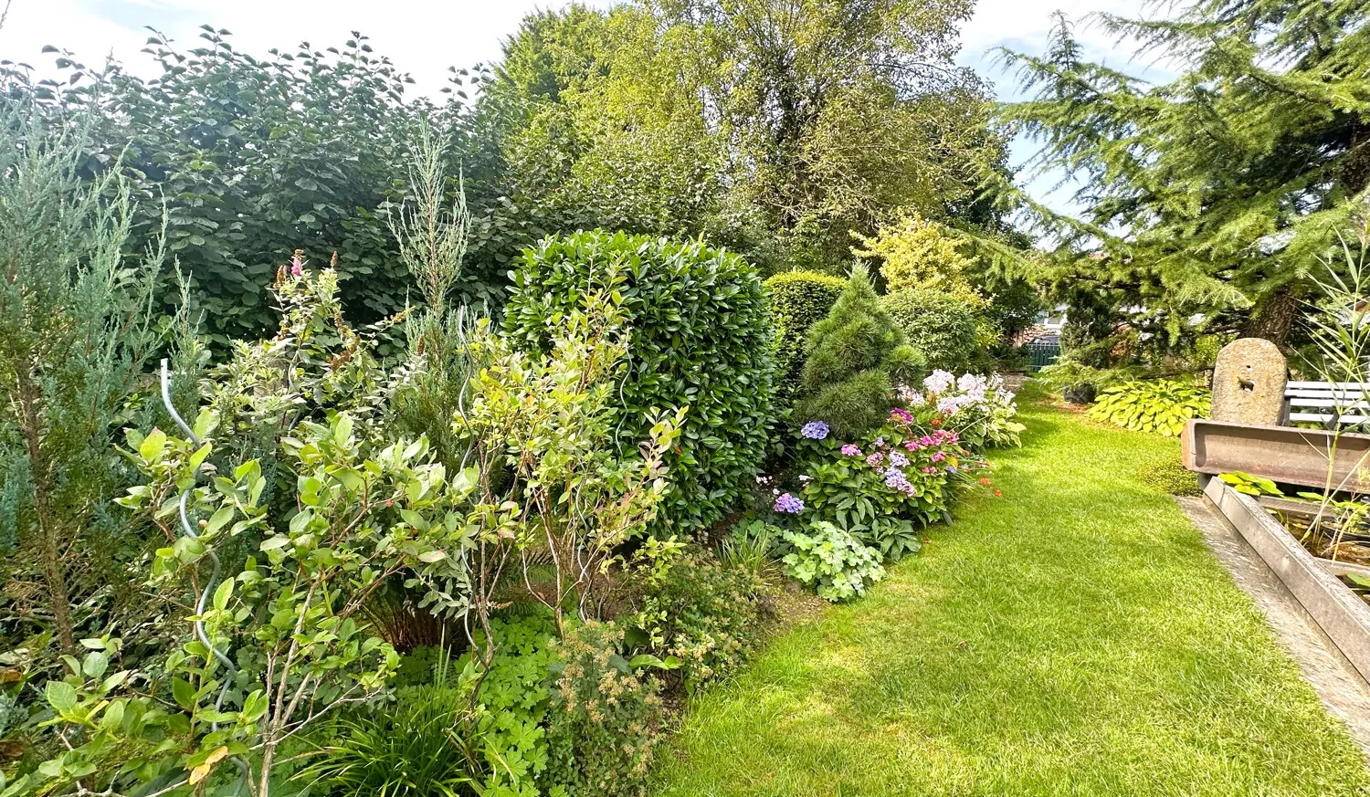 Impressionen Gartenbereich