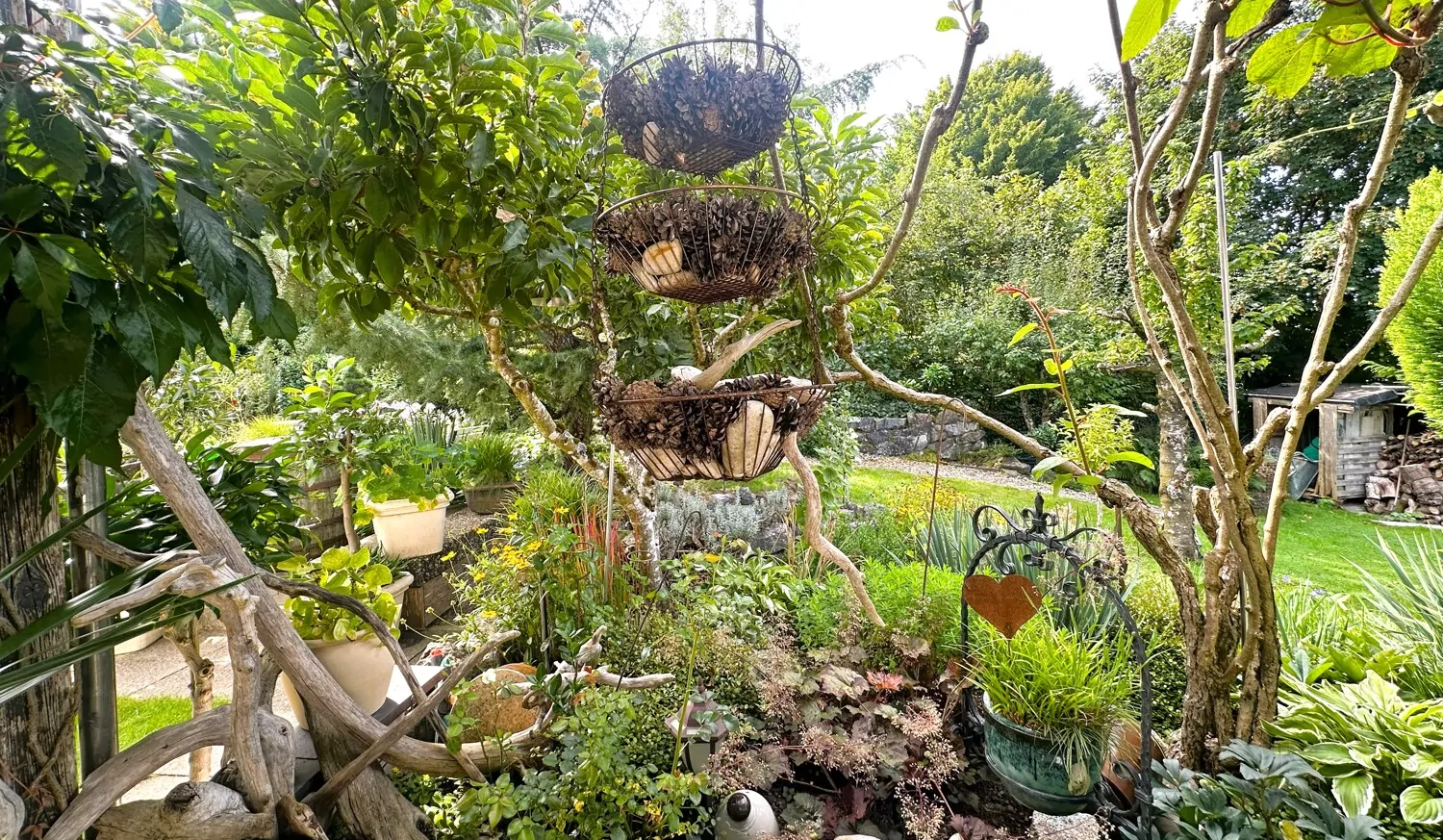 Impressionen Gartenbereich