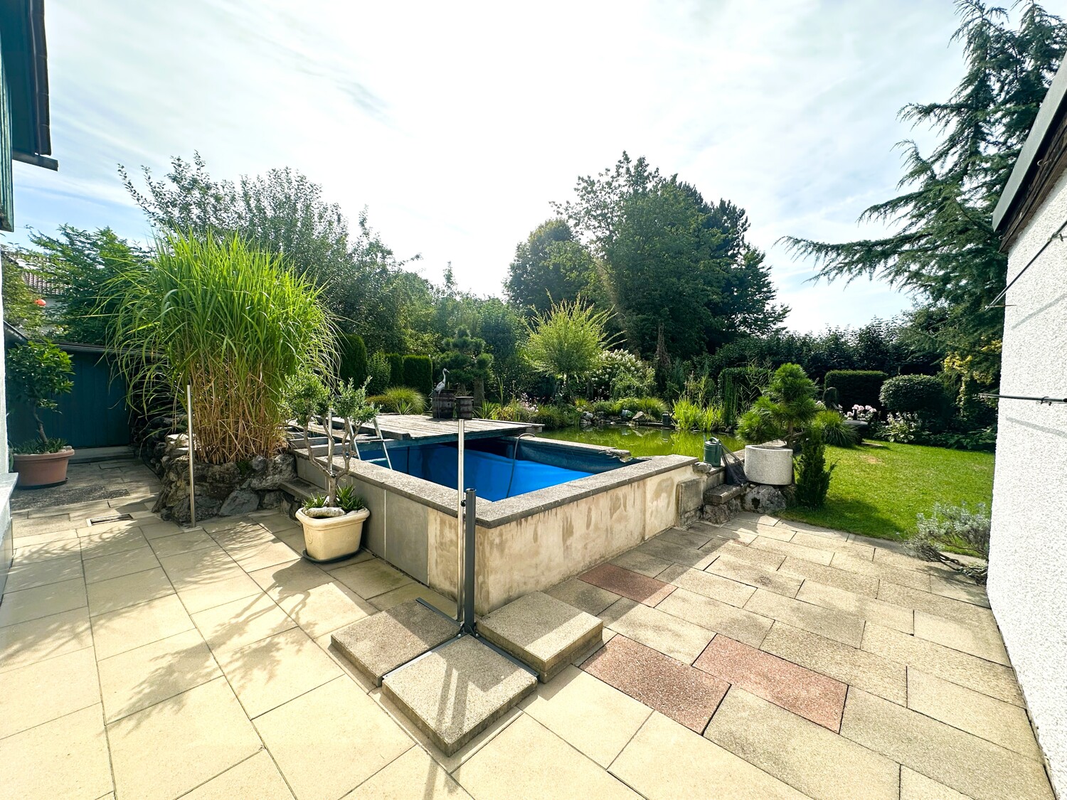 Weg zum Teich / Pool