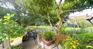 von_poll_real_estate_property_25258024_image_22