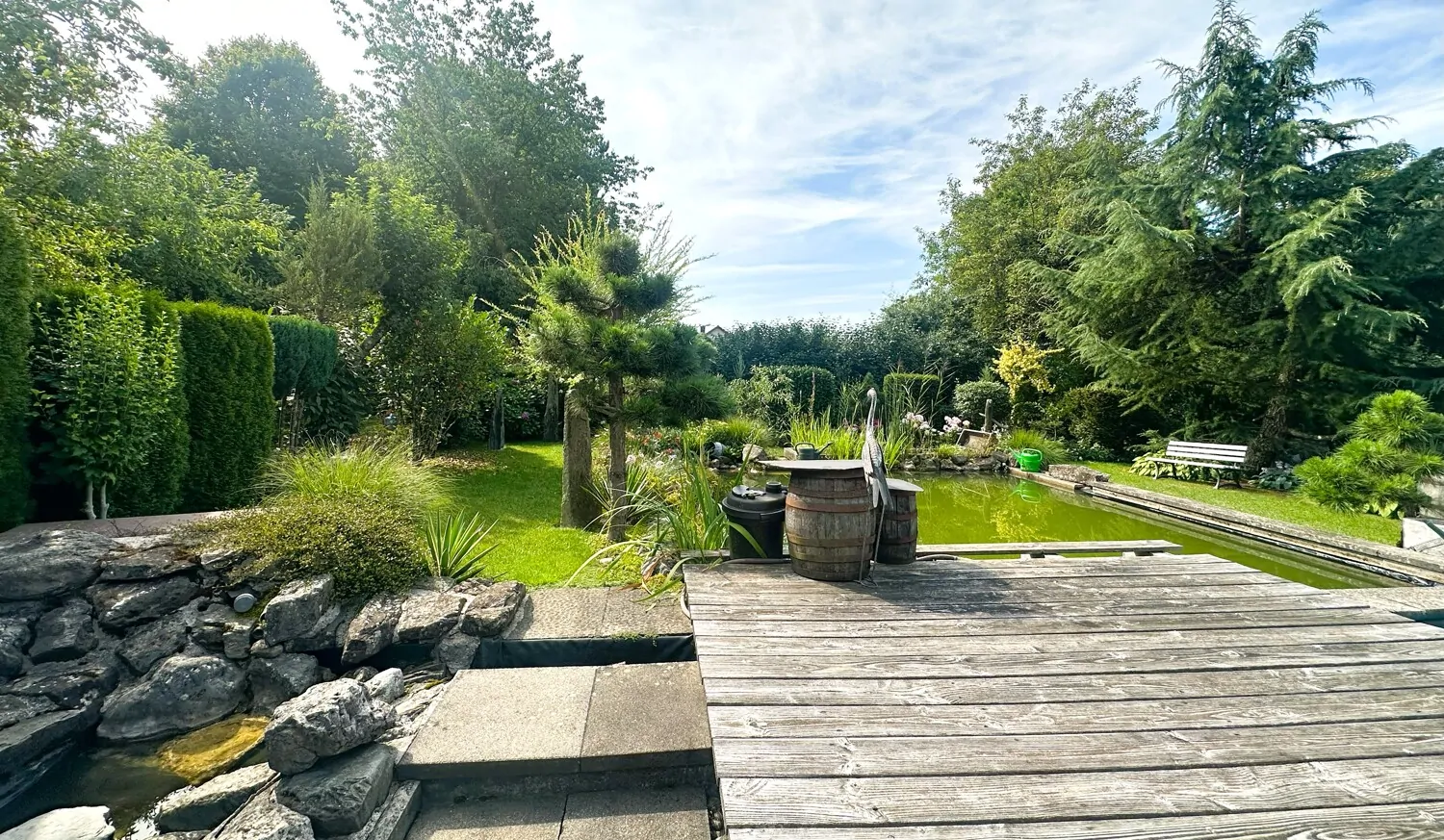 Holzdeck Teich / Pool