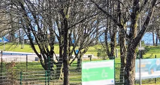 von_poll_real_estate_property_25258026_image_19