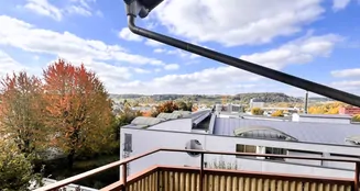 von_poll_real_estate_property_25258028_image_9