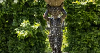 von_poll_real_estate_property_US570_image_7