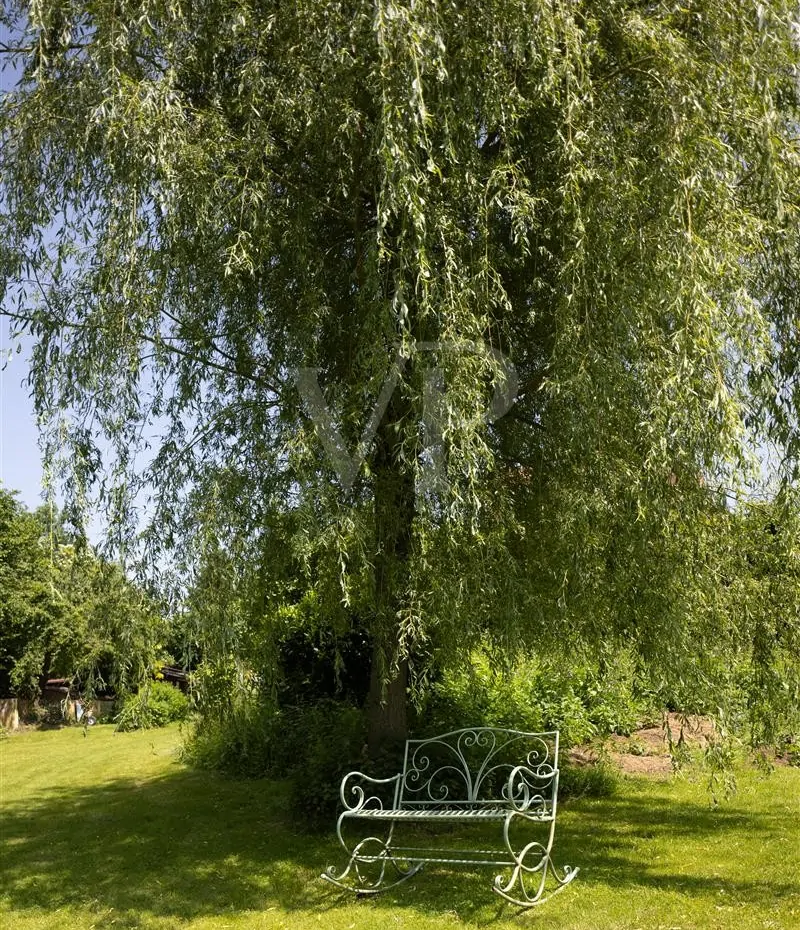 ö Garten