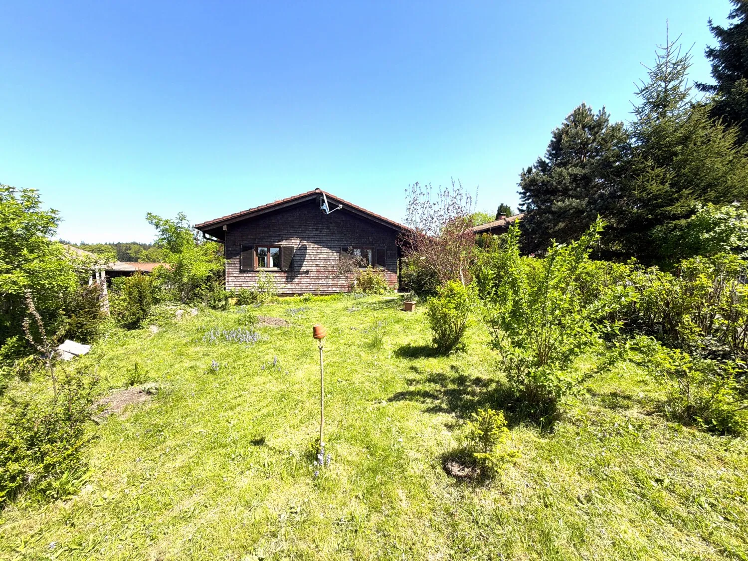 Garten im vorderen Bereich