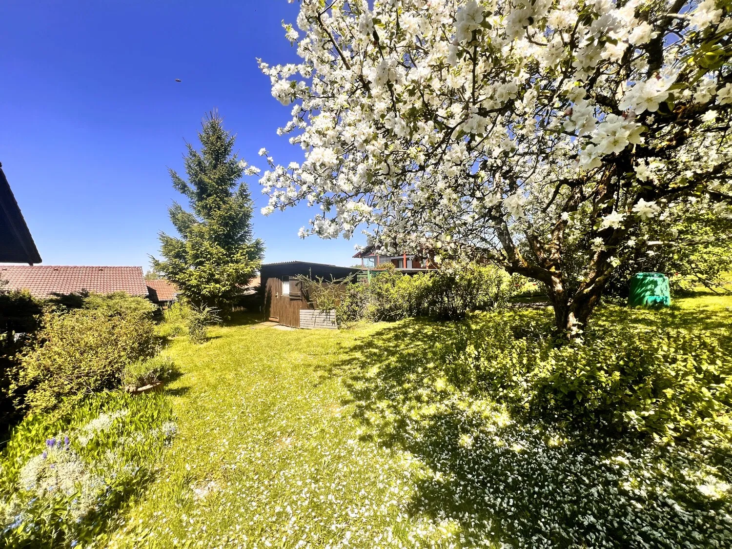 Garten mit Gartenhaus