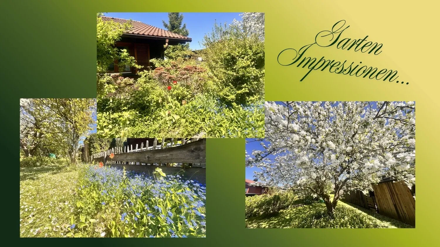Impressionen