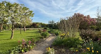 von_poll_real_estate_property_25466014_image_2