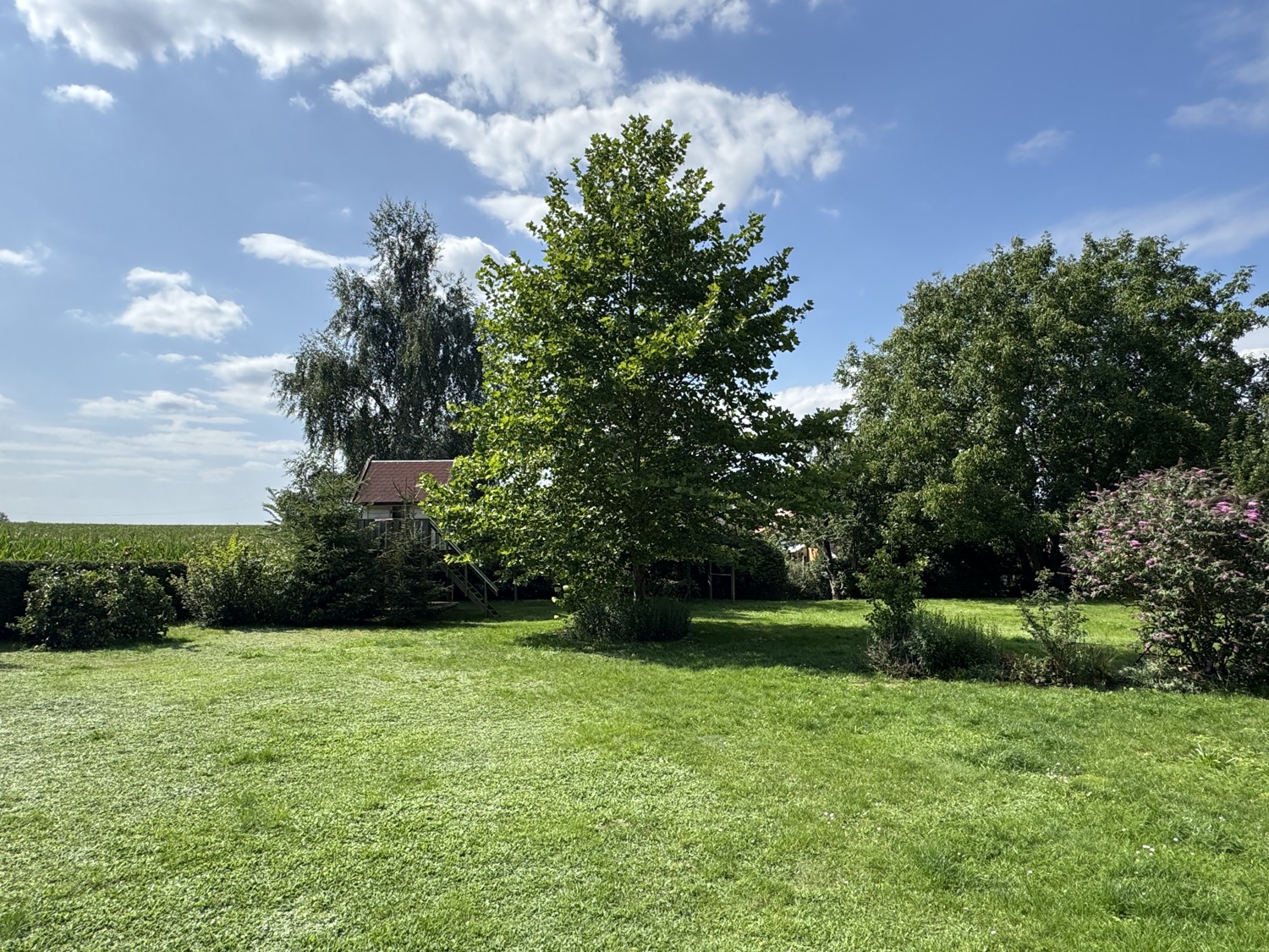 Grundstück