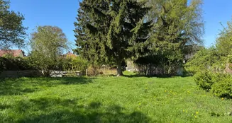 von_poll_real_estate_property_25466013_image_5