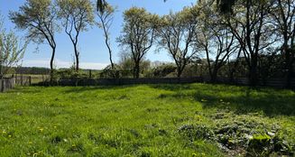 von_poll_real_estate_property_25466013_image_4