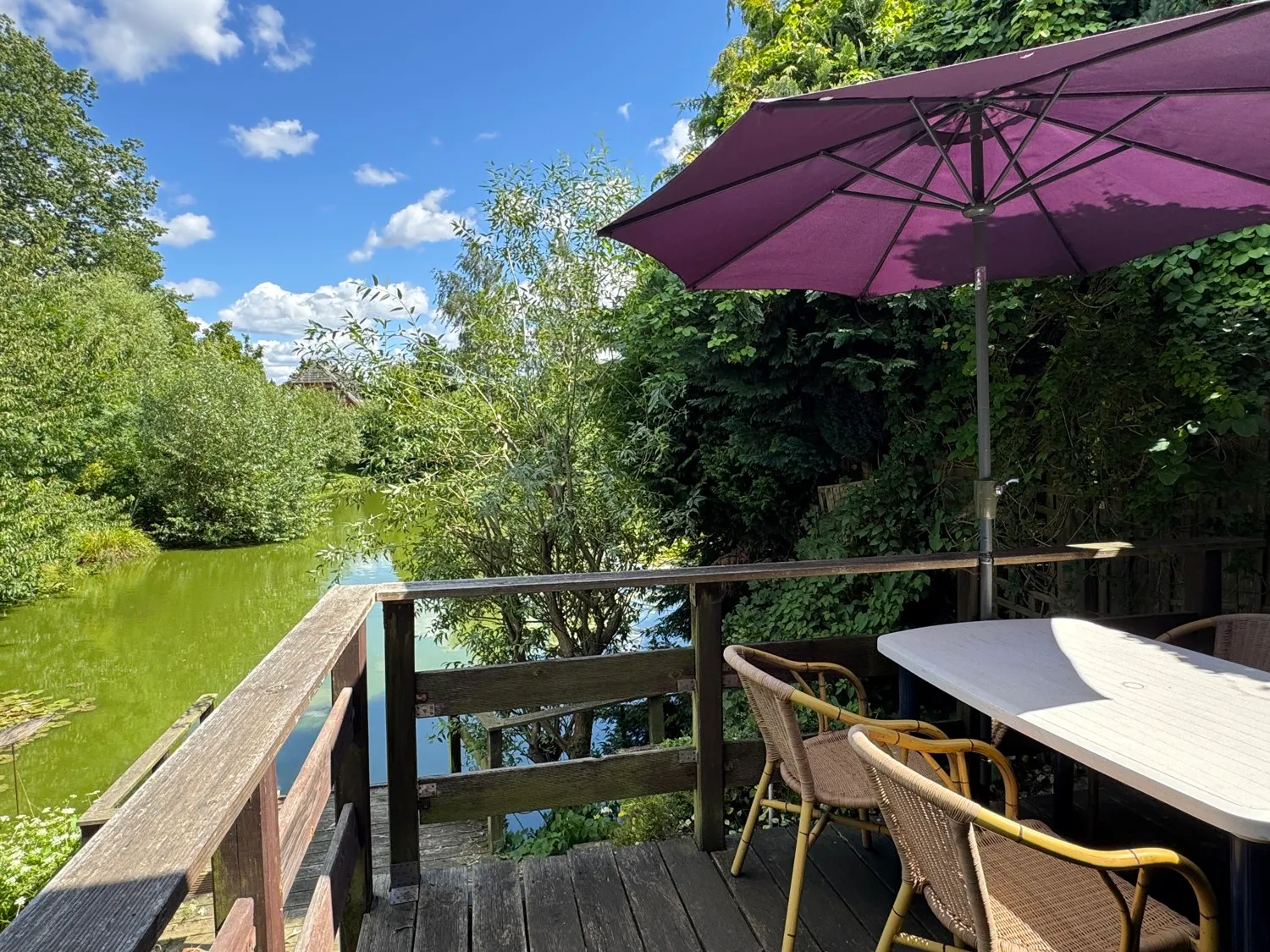 Ausblick von Terrasse