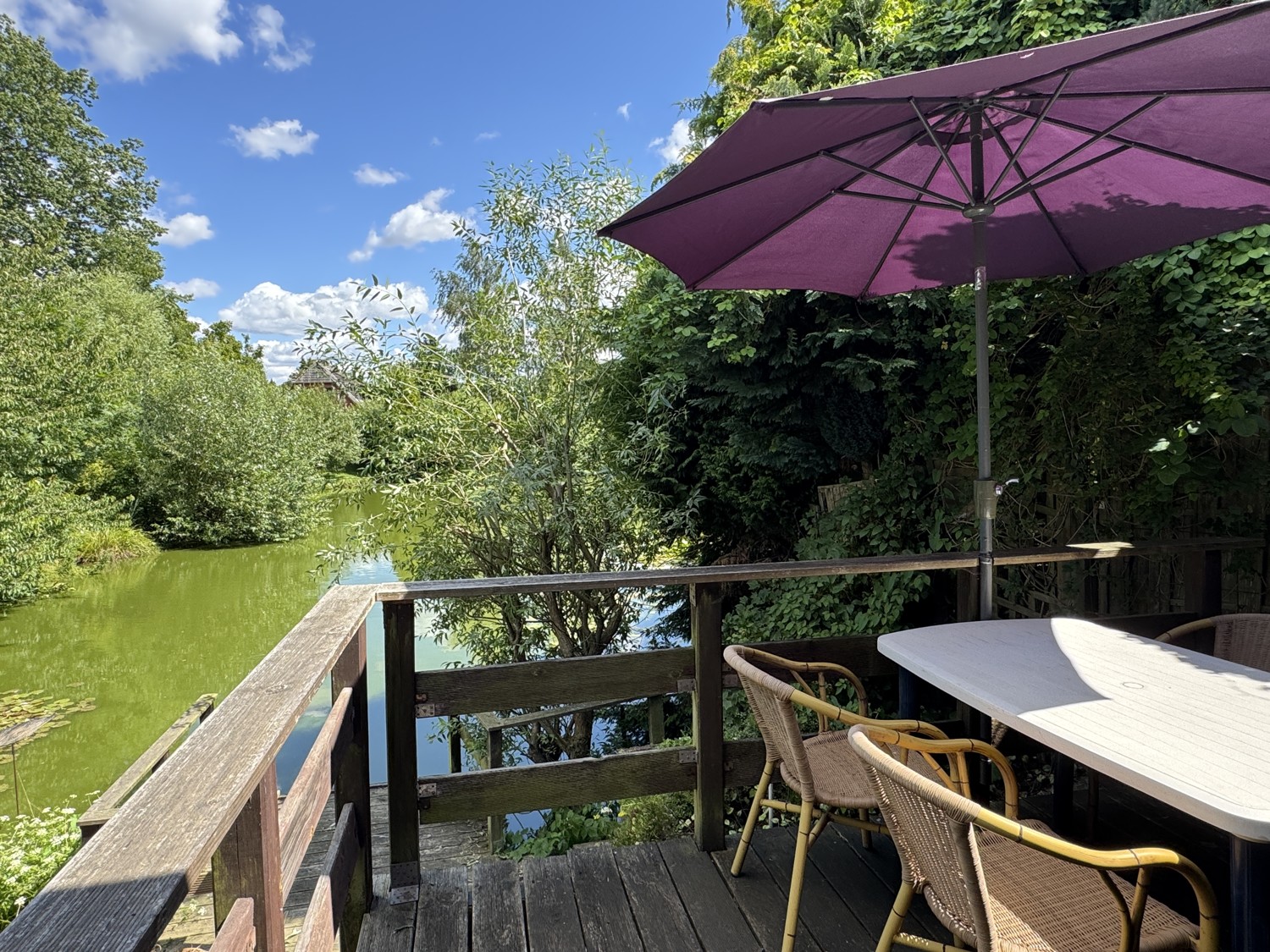 Ausblick von Terrasse