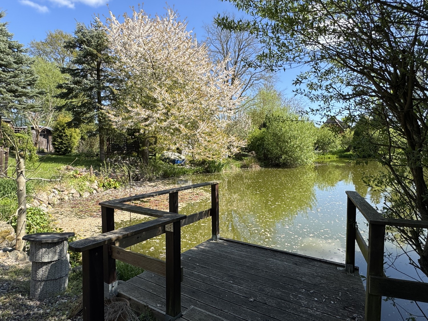Teich
