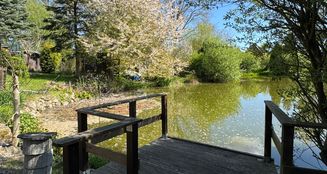 von_poll_real_estate_property_25466012_image_4