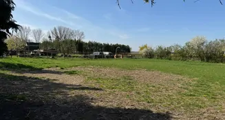 von_poll_real_estate_property_25466010_image_7