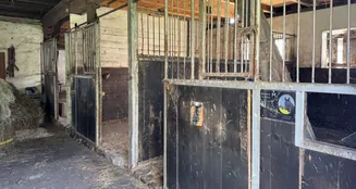 von_poll_real_estate_property_25466010_image_9