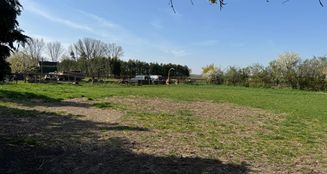 von_poll_real_estate_property_25466027_image_8