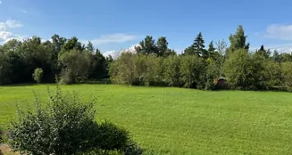 von_poll_real_estate_property_25466035_image_1