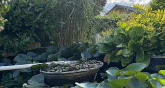 von_poll_real_estate_property_25466033_image_1