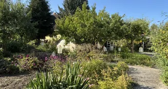 von_poll_real_estate_property_25466033_image_2