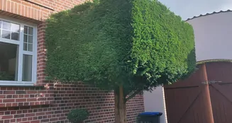 von_poll_real_estate_property_25466039_image_3