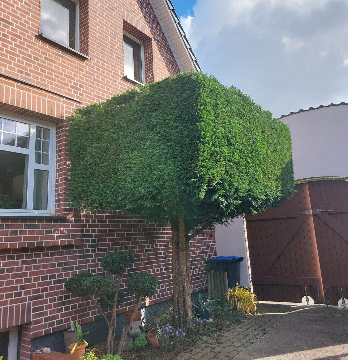 Ansicht