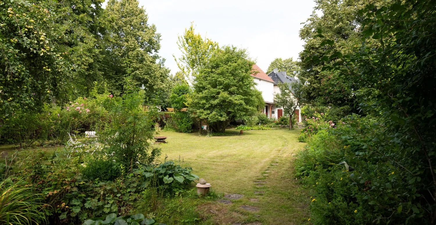 Garten-Sicht-zum-Haus