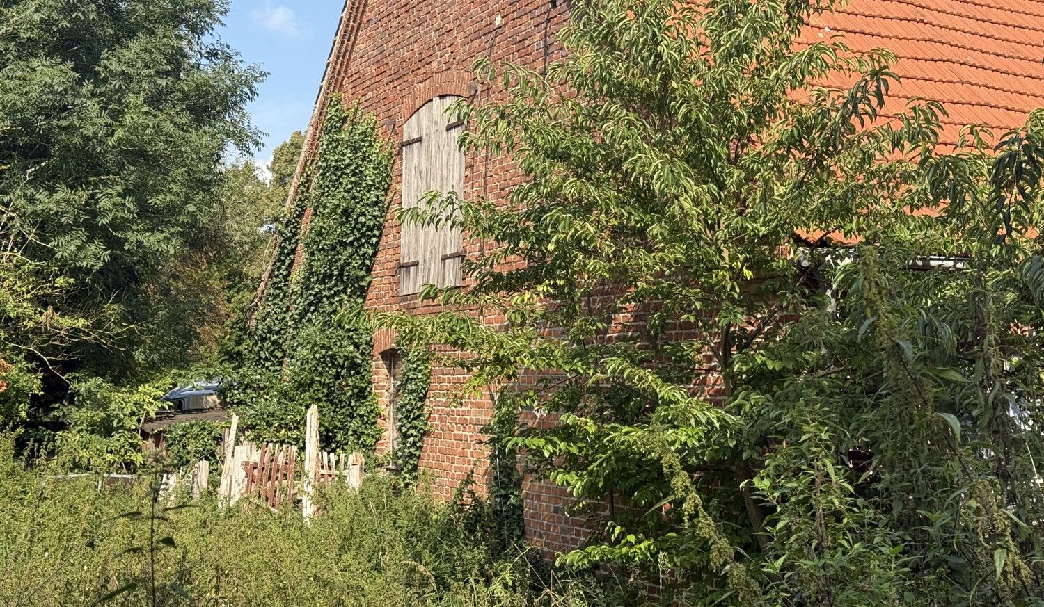 Ansicht hinten 1